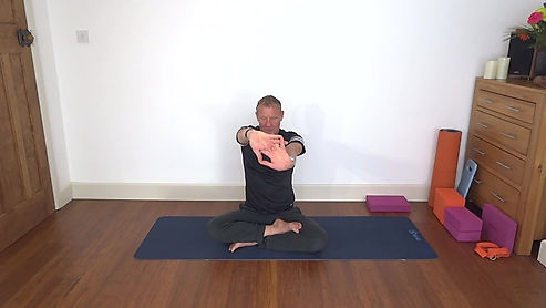 Seated Sequence  (2 of 3)